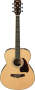 Ibanez PC25 Grand Concert Acoustic Guitar (with Case)