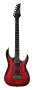 Ibanez RGA42FM Electric Guitar