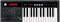 Korg MicroX 25-Key Controller Synthesizer Keyboard