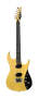 Moog Guitar Model E1 Electric Guitar (Fixed Bridge, with Case)