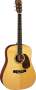 Martin D16RGT Dreadnought Acoustic Guitar (with Case)