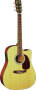 Martin DC1E Acoustic Electric Guitar (with Case)