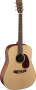 Martin DM Dreadnought Acoustic Guitar (with Case)