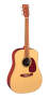 Martin DXM Dreadnought Acoustic Guitar