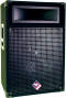 Nady PS115 2-Way Full Range Speaker (500 Watts, 1x15 in.) Nady PS115 2-Way Full Range Speaker (500 Watts, 1x15 in.)