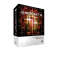 Native Instruments Kontakt (Macintosh and Windows)