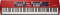 Clavia Nord Stage 88 (88-Key)