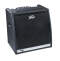 Peavey KB5 Keyboard Amplifier (150 Watts, 2x10 in.)