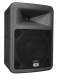 Peavey PR10N Loudspeaker (1x10 in.)