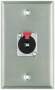 Pro Co Wall Plate with Single Female 1/4-inch TRS (Model WP1006)