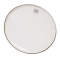 Remo Clear Ambassador Drumhead