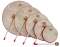 Remo Kids 5-Piece Hand Drum Set coupon