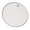 Remo Hazy Ambassador Bottom Snare Drumhead