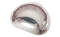 Rhythm Tech Pro Tambourine with Brass Jingles