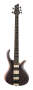 Schecter RIOT-5 5-String Electric Bass