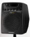 TC Helicon VoiceSolo VSM300 XT Active Monitor