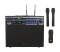 VocoPro DVD-SOUNDMAN Multi-Format 4-Channel Wireless Karaoke System