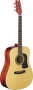 Washburn D10S Dreadnought Acoustic Guitar (With Case)