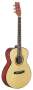 Washburn F10S Solid Top Folk Body Acoustic Guitar