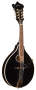 Washburn M1SDL A-Style Mandolin