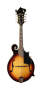 Washburn M3SW F-Style Solid Wood Mandolin (With Case)