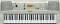 Yamaha PSRE313 61-Key MIDI Keyboard with Sequencer