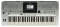 Yamaha PSRS900 61-Key Arranger Workstation Keyboard