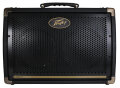 Peavey Ecoustic 208 Acoustic Guitar Amplifier (30 Watts, 2x8")