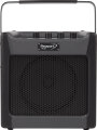 Fender Passport Mini Personal Sound System with Effects