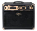 Peavey E110 Ecoustic Acoustic Guitar Amplifier