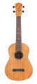 Cordoba 30T Tenor Ukulele, with Case