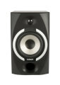 Tannoy Reveal 601p Passive Studio Monitor