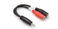 Hosa Stereo Breakout 1/8" Male to Dual 1/8" Female Cable