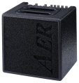 AER Alpha Acoustic Guitar Amplifier (40 Watts, 1x8")