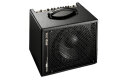 AER Amp One Bass Combo Amplifier (200 Watts, 1x10")