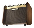 Fishman Loudbox Mini Acoustic Guitar Amplifier (60 Watts, 1x6.5")