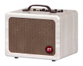 ZT Amplifiers Lunchbox Acoustic Guitar Amplifier (200 Watts, 1x6.5")