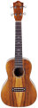 Lanikai Concert Curly Koa Ukulele