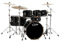 Pacific Drums Concept Maple Drum Shell Kit, 7-Piece
