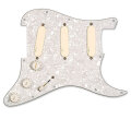 EMG DG20 David Gilmour Wired Pickguard