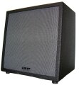 ISP Technologies G112 Passive Guitar Speaker Cabinet (150 Watts, 1x12")