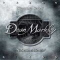Dean Markley NickelSteel Electric Guitar Strings