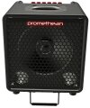 Ibanez P3110 Promethean Bass Combo Amplifier (300 Watts, 1x10")