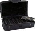 Hohner Piedmont Blues Harmonica Set