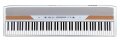 Korg SP250 88-Key Stage Piano