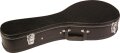 Ibanez A-Style Mandolin Hardshell Case