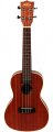 Kala KAC Mahogany Concert Ukulele