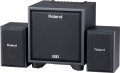 Roland CM-110 Cube Monitor Speaker System