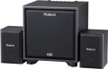 Roland CM-220 Cube Monitor Speaker System