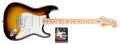Fender Standard Stratocaster Maple Electric Guitar and Texas Special Pickup Set